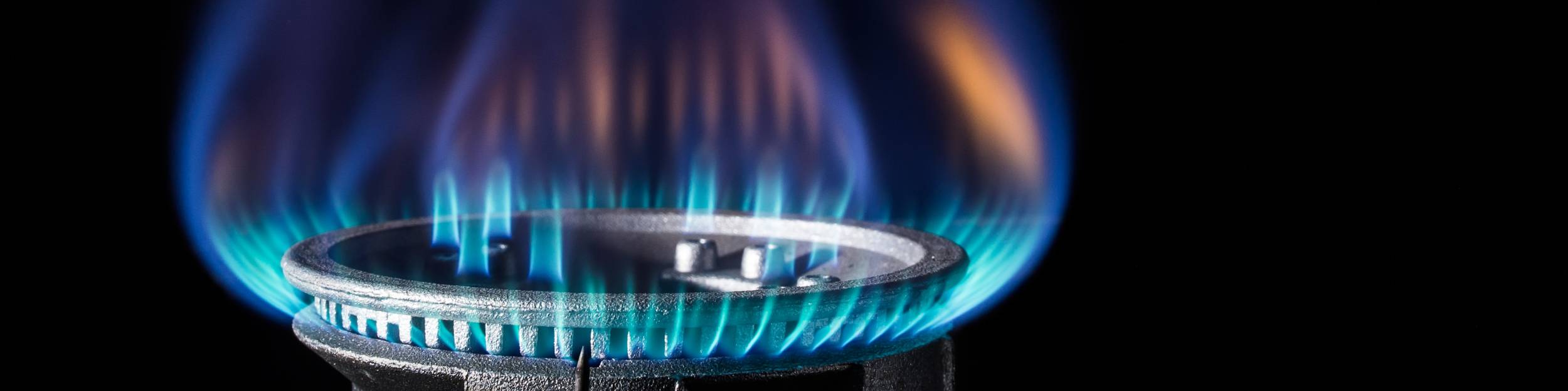 Image result for NATURAL GAS