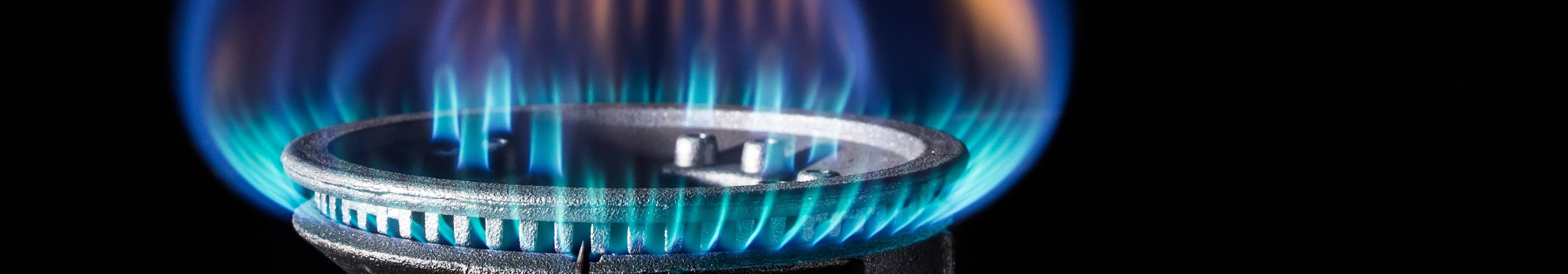 Renewable Natural Gas (RNG)