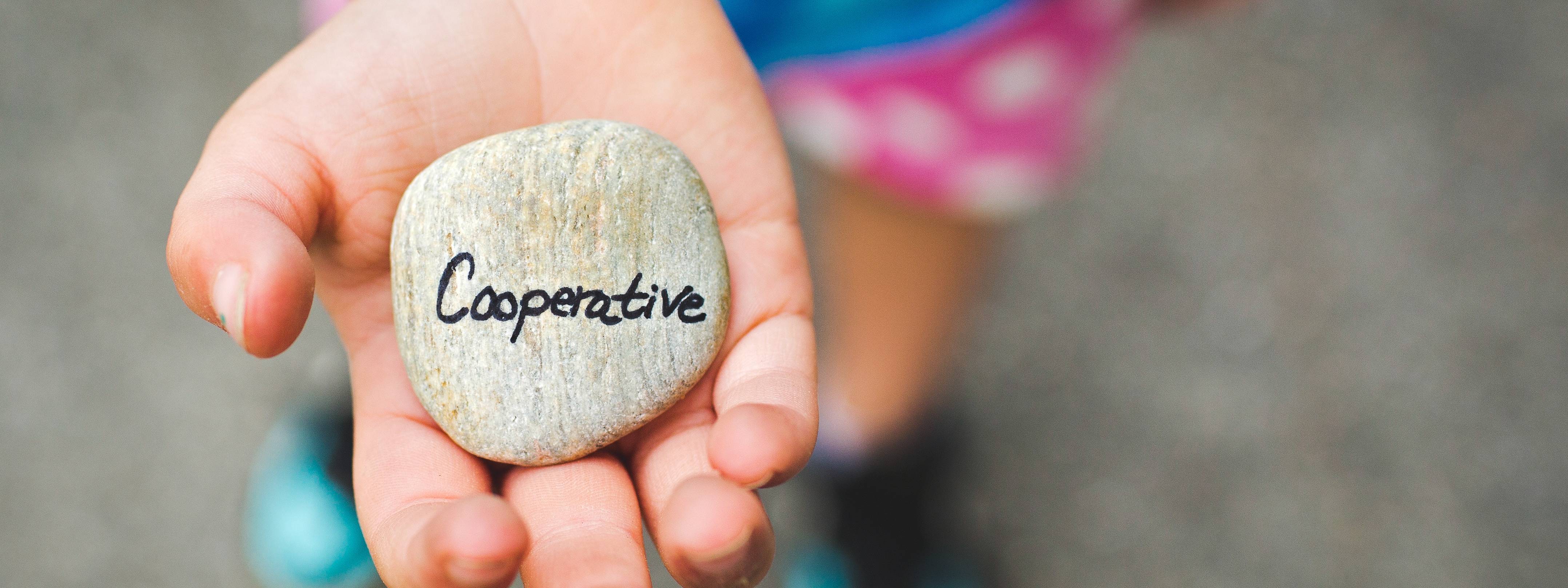 Why choose a cooperative for your energy needs?