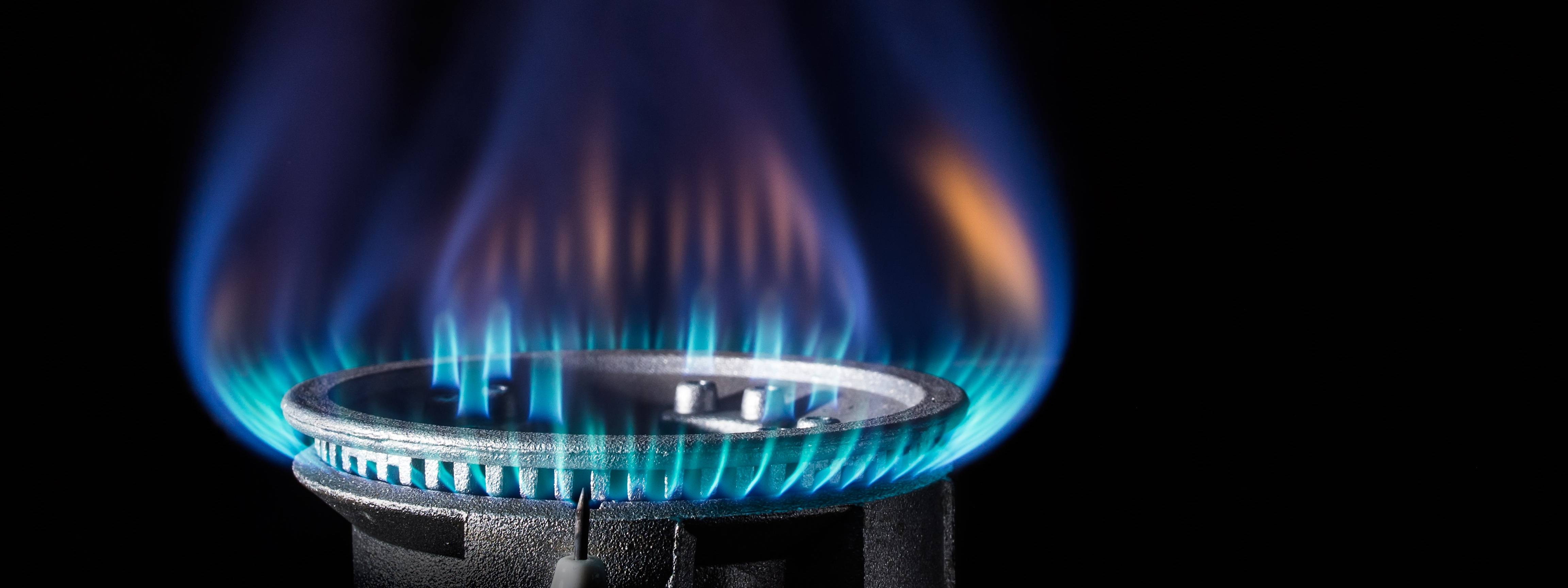 Come to The Energy Co-op’s RNG Webinar!