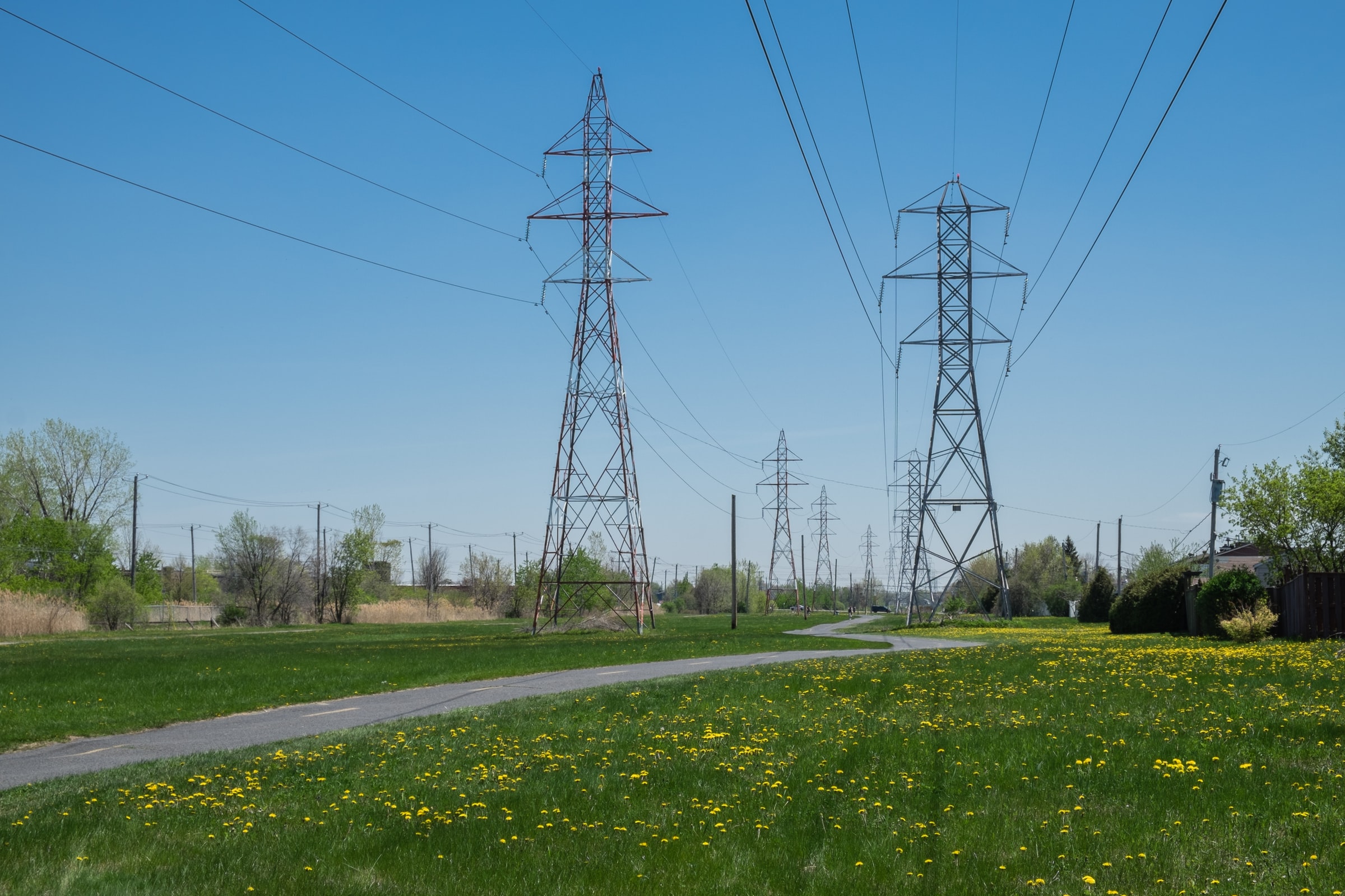 Member Nature Walk | The Horsham Power Line Trail