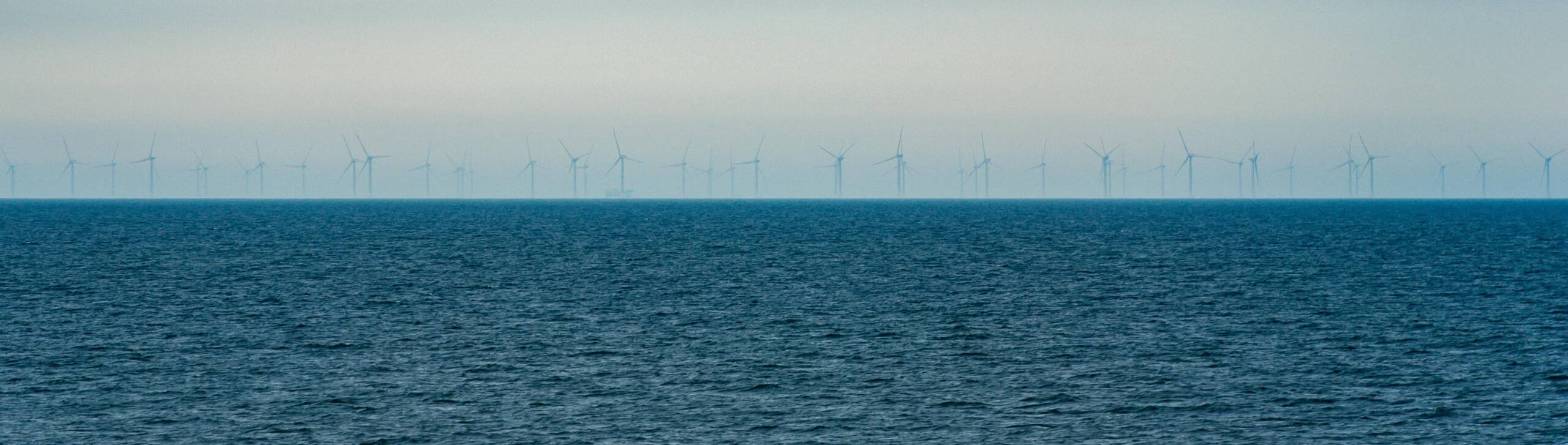 Understanding the War on Wind Energy