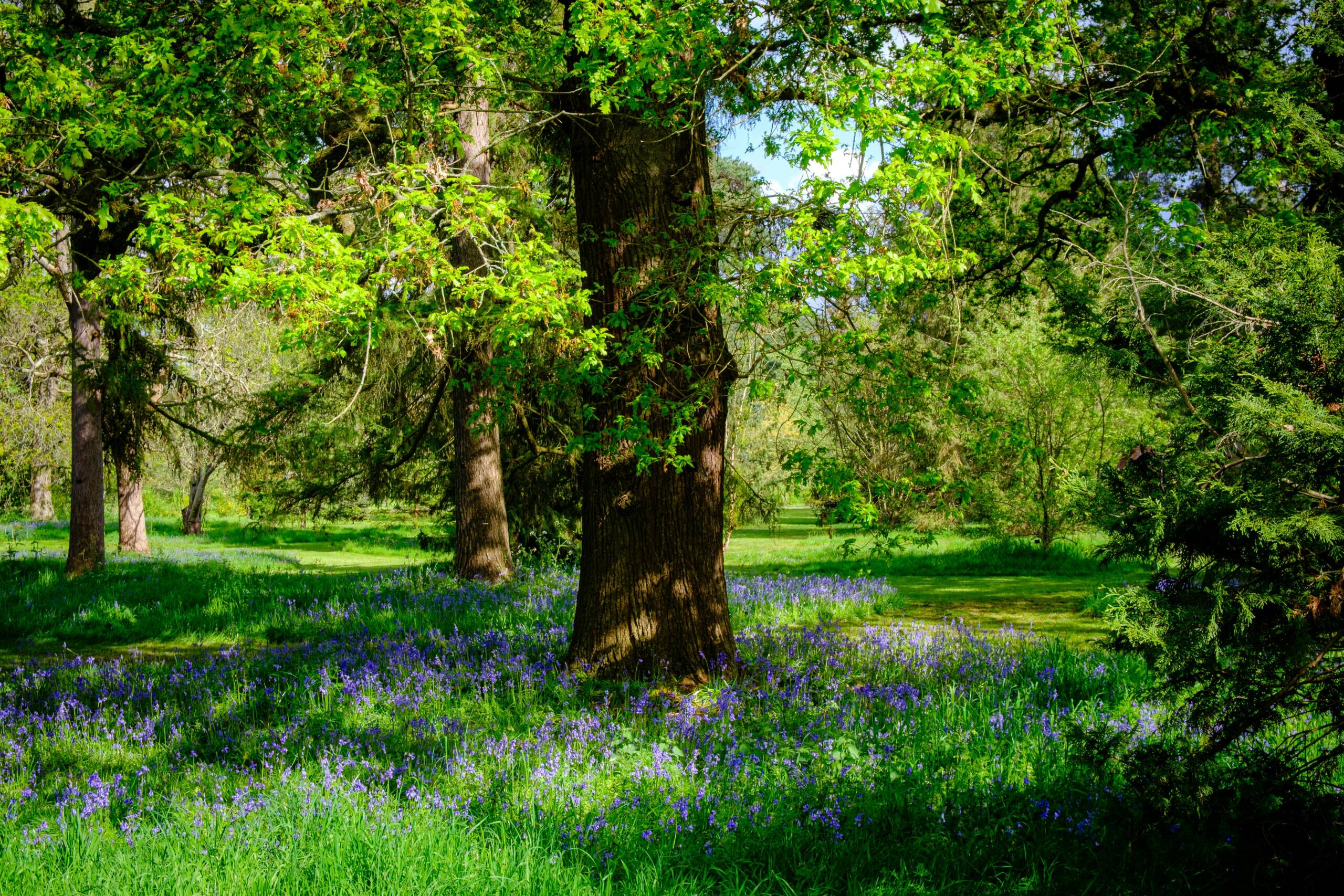 Member Feature: Lynn on Sustainable Living at Home